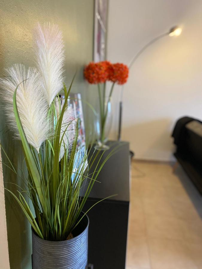 Appartements Vue Mer แซ็งต์-โฟลร็องต์ ภายนอก รูปภาพ
